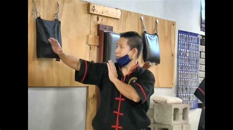 fuk sao|Wing Chun .